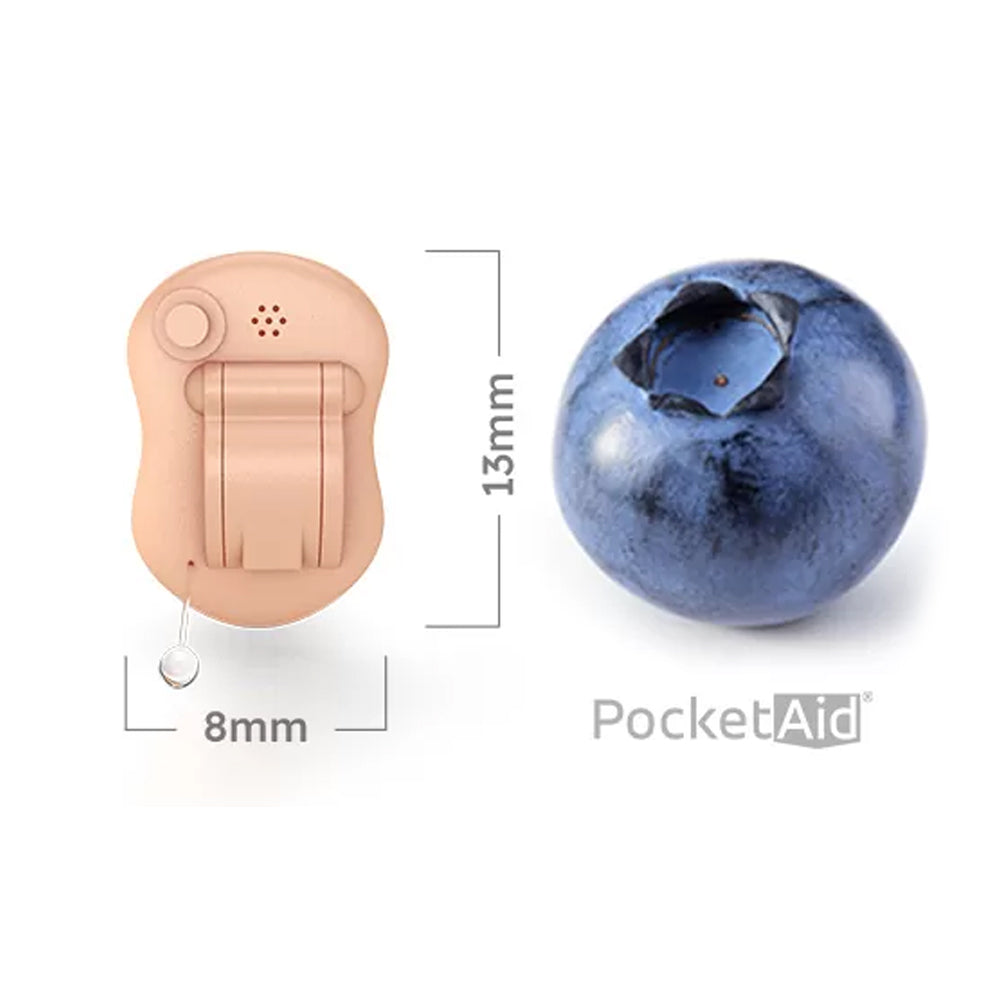 Spot Mini 6 Hearing Aid